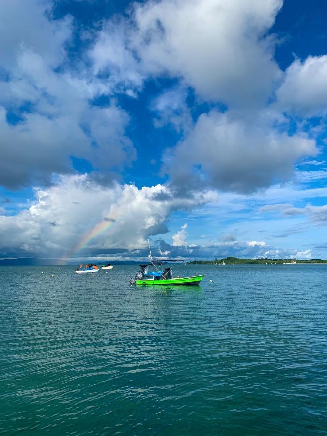 منزل الضيف Puerto Jiménez  في Blue House المظهر الخارجي الصورة